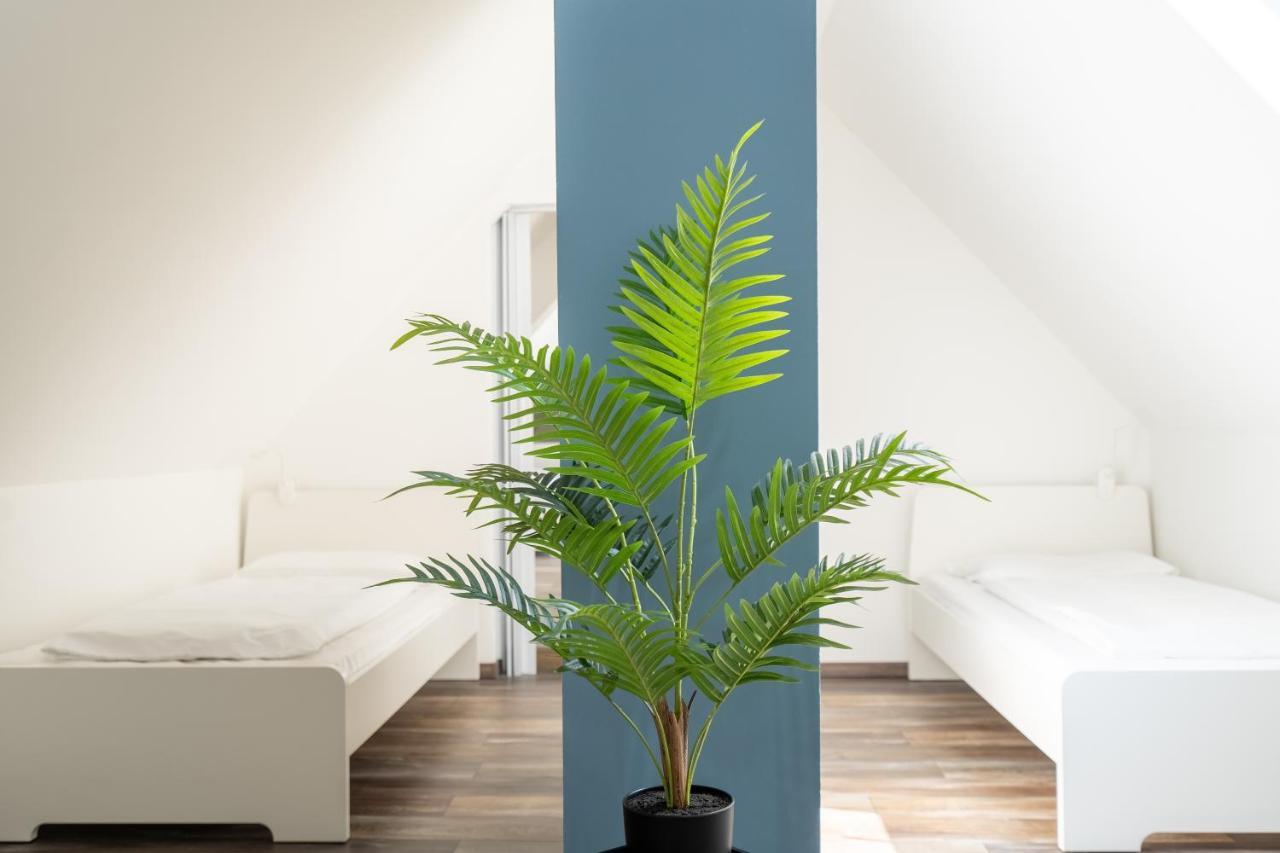 Xxl Superior Apartment 1 - 10 Personen คาสทร็อป เราเซล ภายนอก รูปภาพ