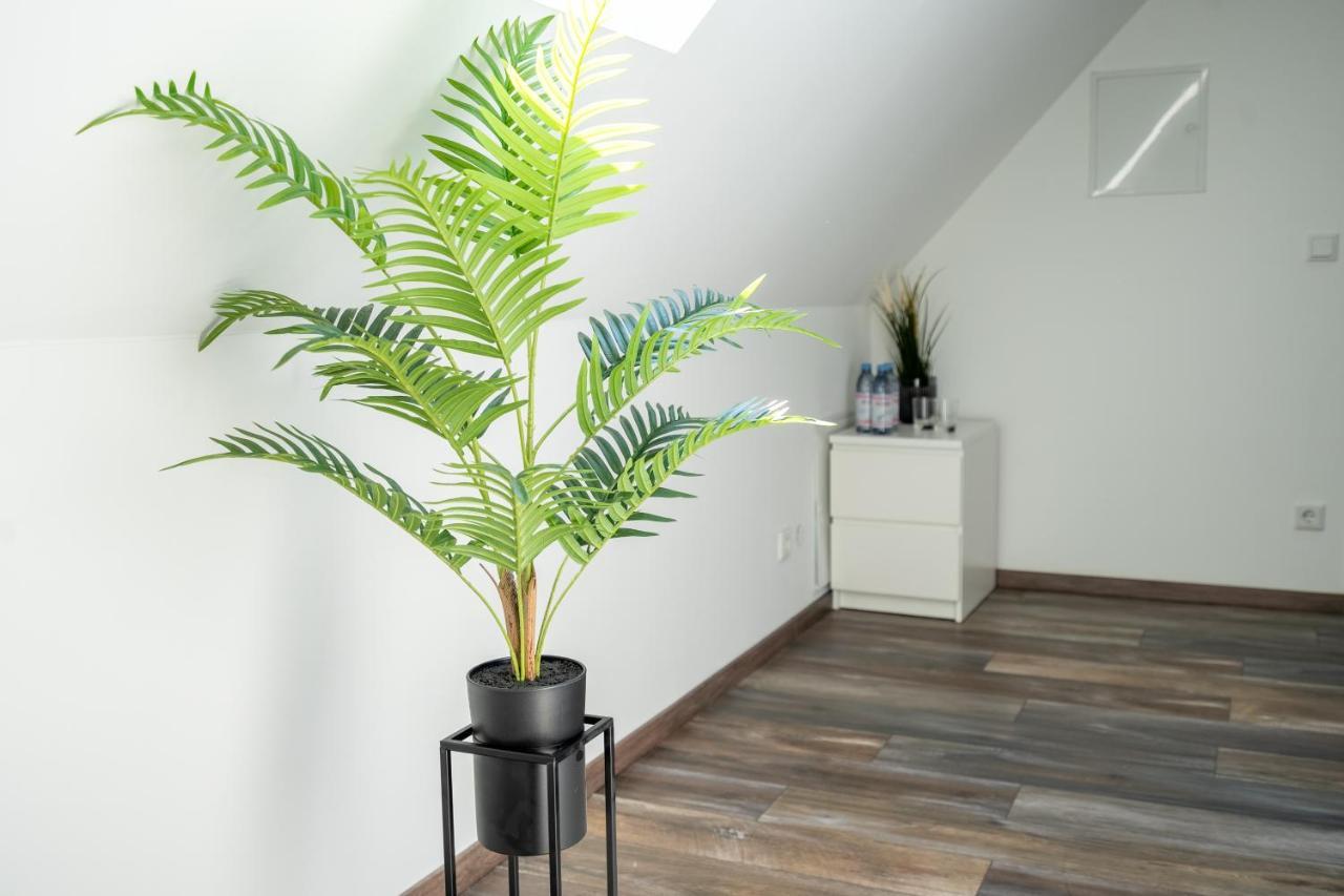 Xxl Superior Apartment 1 - 10 Personen คาสทร็อป เราเซล ภายนอก รูปภาพ